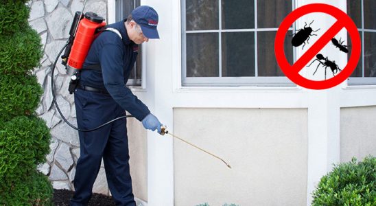 Kofçaz Kene İlaçlama böcek ilaçlama ve haşere kontrolü — ilaclama-tr.com